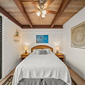  Apartment Newly Upgraded 1br Unit Near Max Of 5 Guests