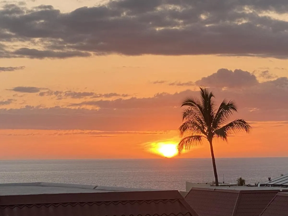 Ocean View 2 Bedroom Downtown Condo Condo Καϊλούα-Κόνα 0*,